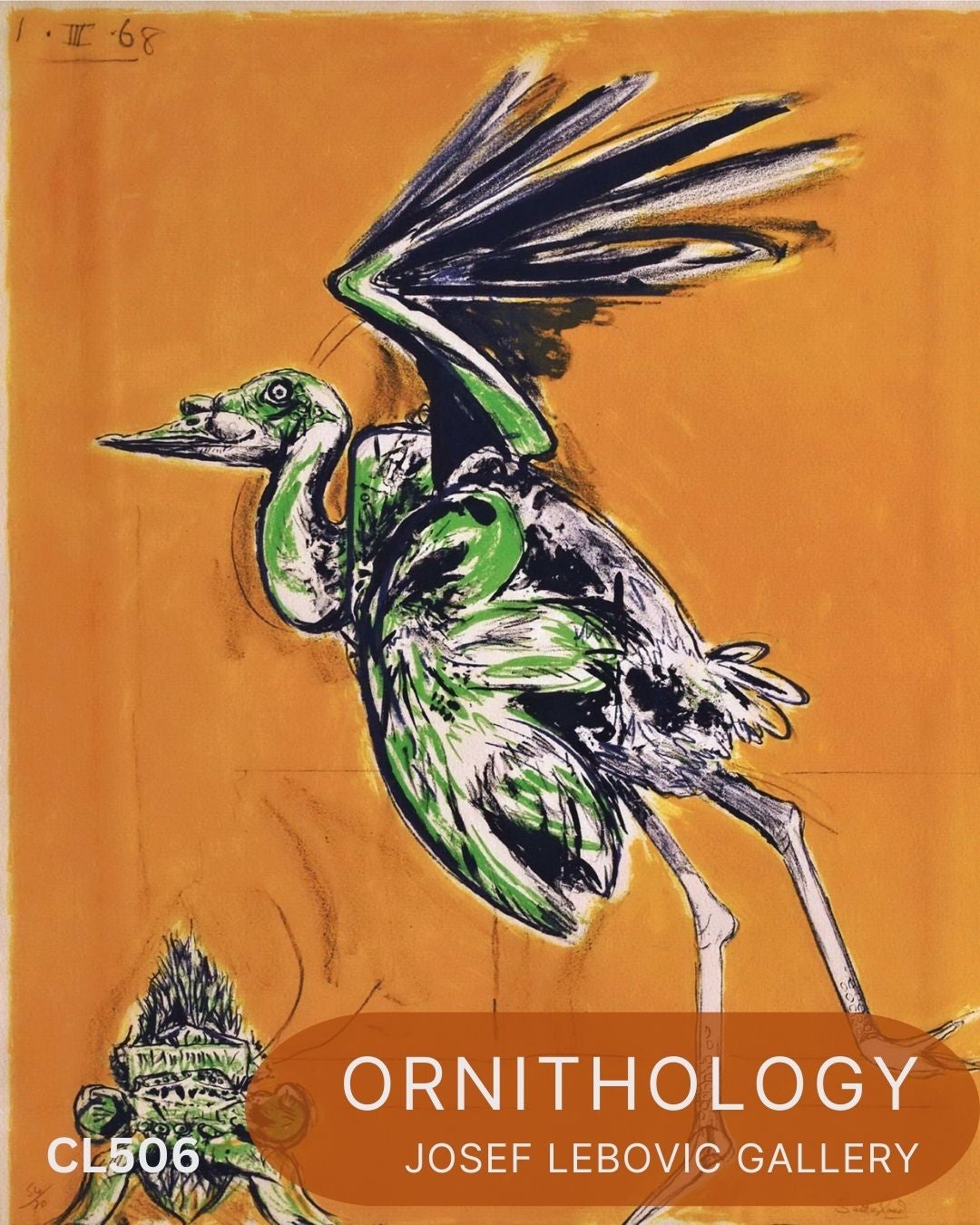 Ornithology CL506 