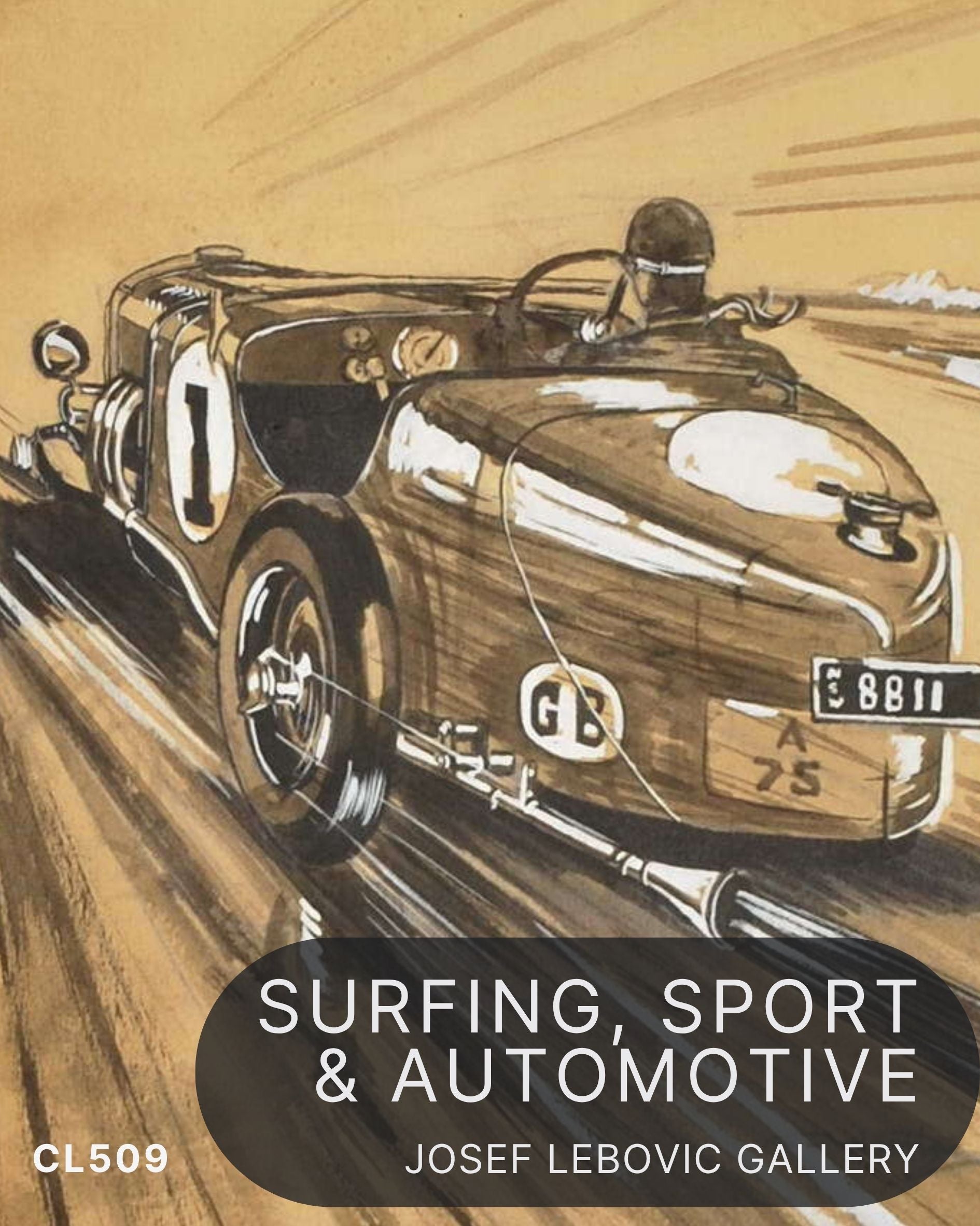 Surfing, Sport & Automotive CL509