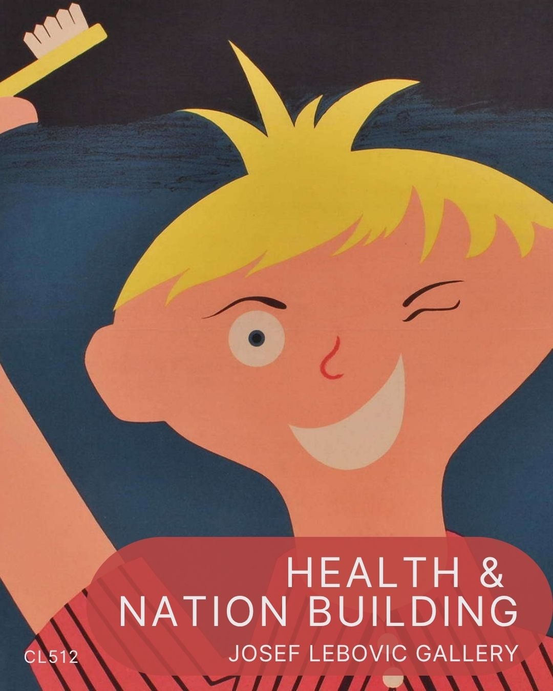 Health & Nation Building CL512