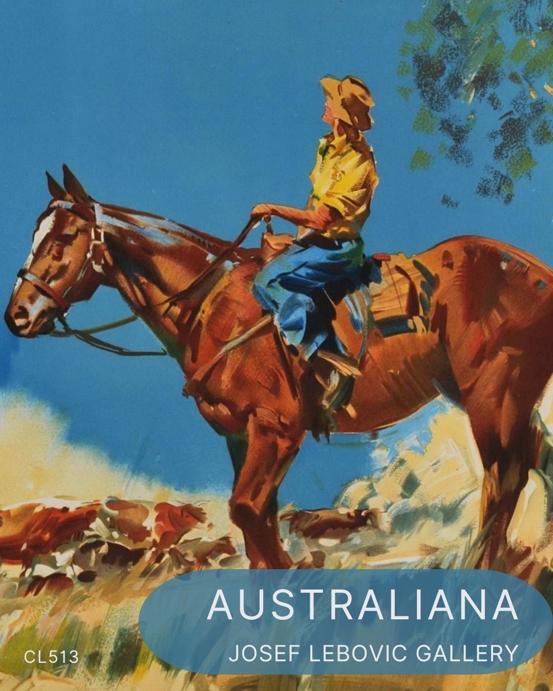 Australiana CL513