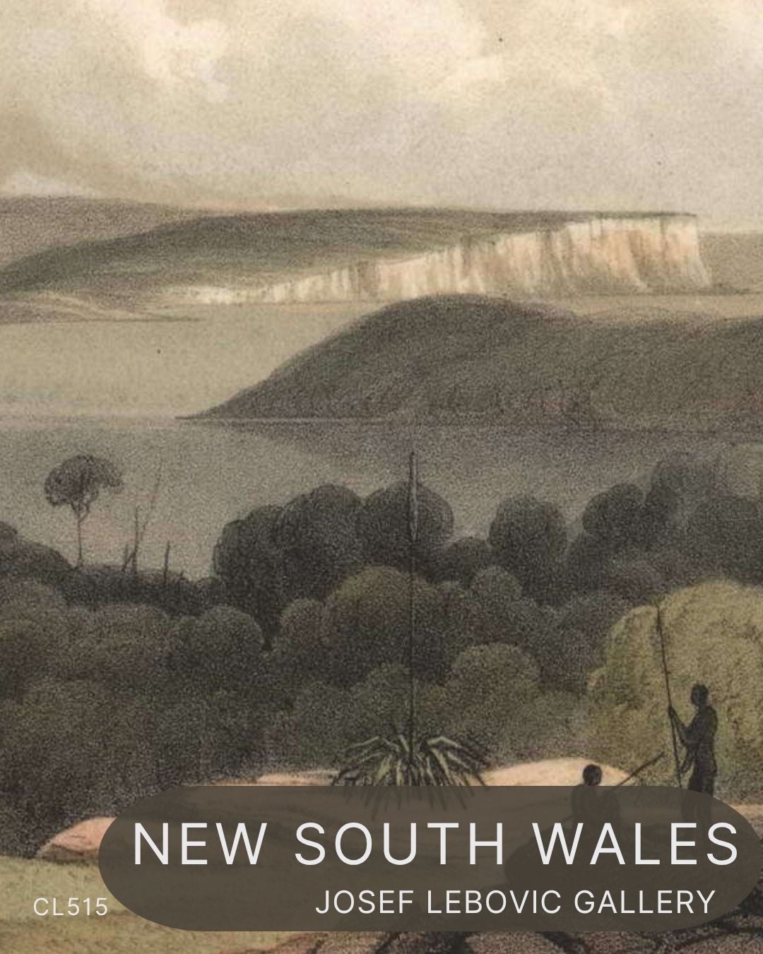 New South Wales CL515