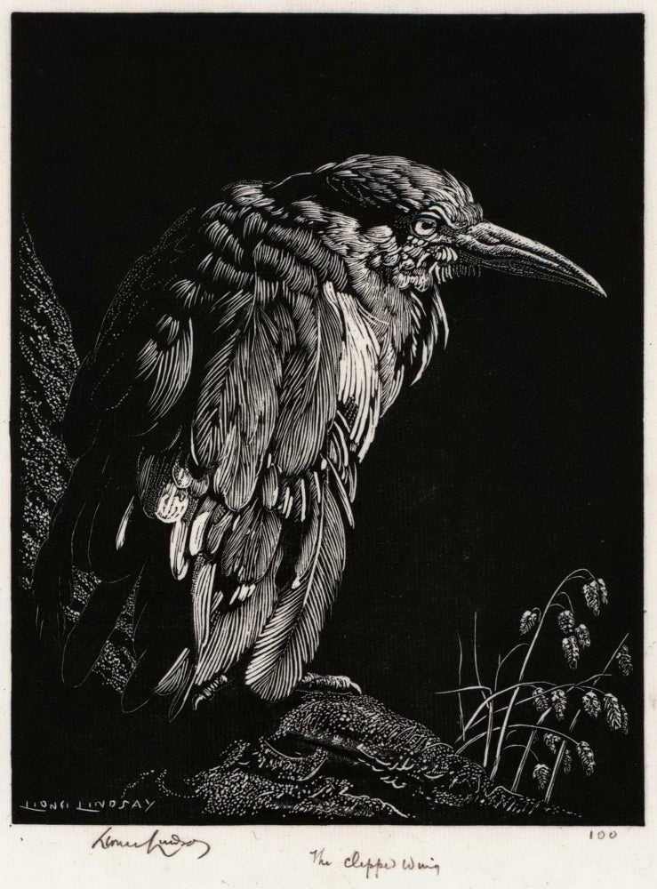 Item #CL166-112 The Clipped Wing. Lionel Lindsay, Aust.
