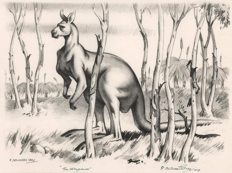 Item #CL166-72 The Kangaroo. Frederick Millward Grey, Aust.