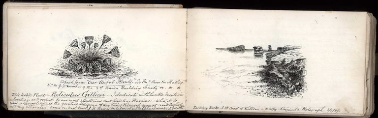 Item #CL169-53 [Sketches And Notes From Australia, India And Great Britain]. Robert Brough Smyth, Australian.