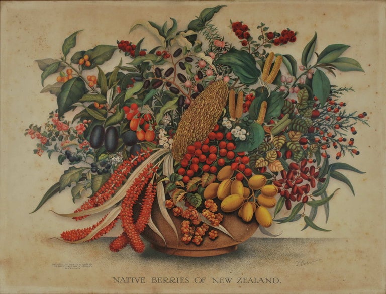 Item #CL169-61 Native Berries Of New Zealand. Fanny Osborne, NZ.
