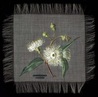 [Australian Native Flowering Plants]