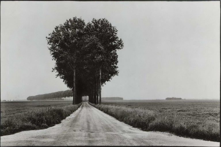 Item #CL172-50 Brie, France. Henri Cartier-Bresson, French.