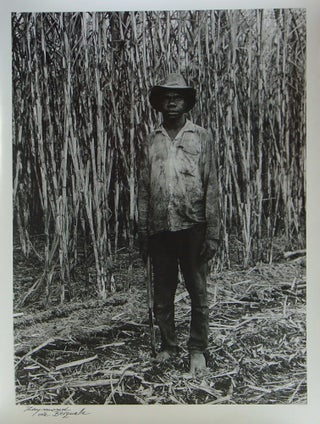 Queensland Sugar Cane Cutters
