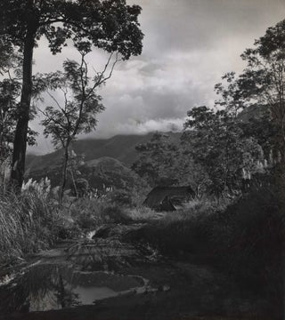 [New Guinea]