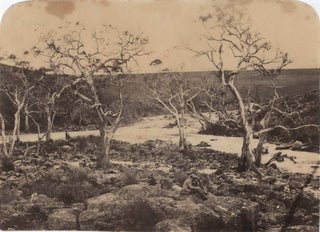 Item #CL172-8 Barwon River, Near Geelong, Victoria. Richard Daintree, British/Australian