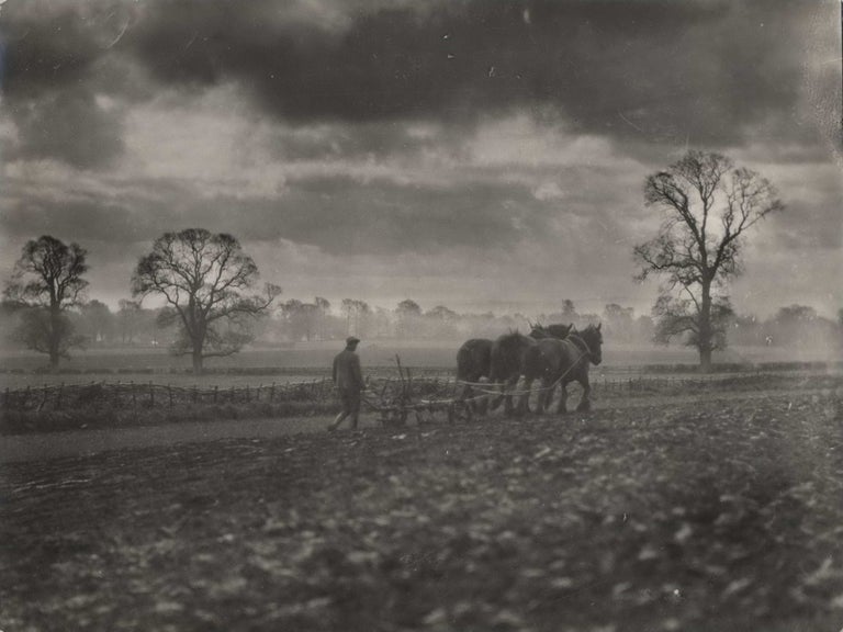 Item #CL172-87 [Man And Horses Ploughing A Field]. E O. Hoppé, Brit.