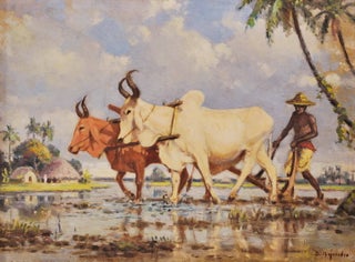Item #CL173-102 [Man With Oxen Ploughing A Rice Paddy]. B. Majumdar, Indian