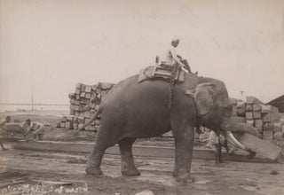 Burma. Elephants Moving Teak Logs Just Outside Rangoon and Burma. Elephants Piling Teak Logs