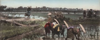 Item #CL173-76 [Japanese Workers In Rice Paddy