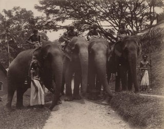 Item #CL173-99 Kandy, Elephants [Sri Lanka