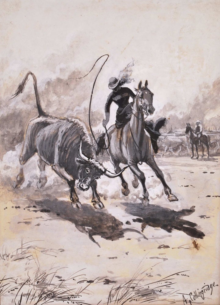 Item #CL174-33 [Side-saddle Muster]. Arthur Collingridge, Aust.