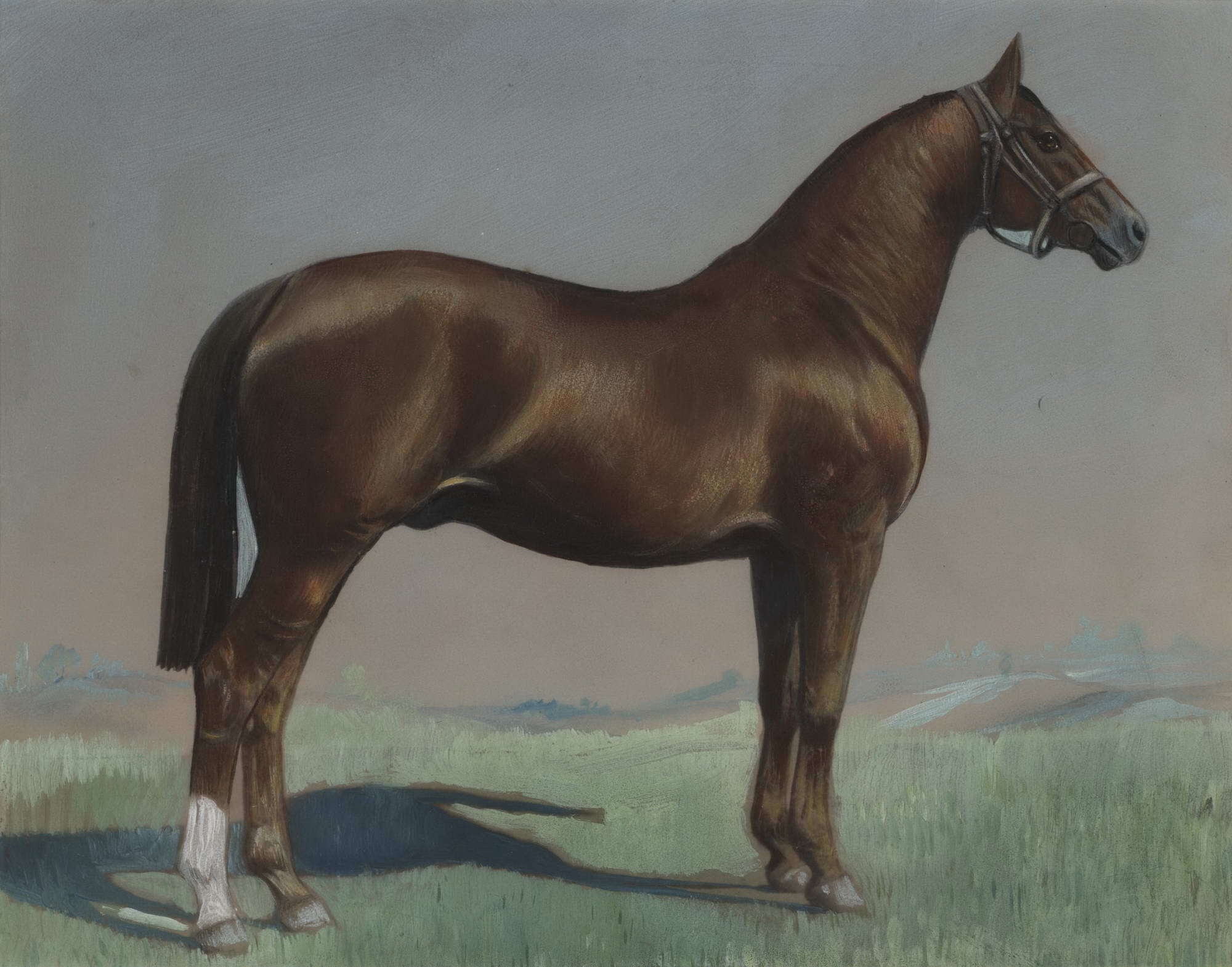 Racehorse | Attrib. Martin Stainforth, Brit./Aust