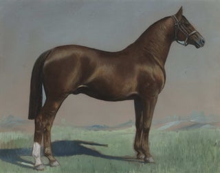 Item #CL176-113 [Racehorse]. Attrib. Martin Stainforth, Brit./Aust