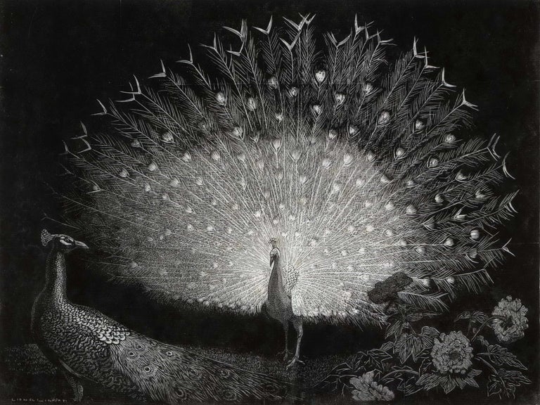 Item #CL176-71 The White Fan [Peacock]. Lionel Lindsay, Aust.