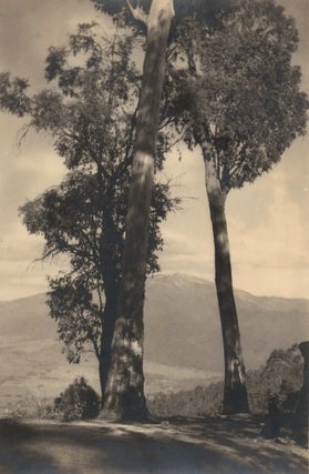 Item #CL178-34 Valley Sentinels, Mt. Bogong, Victoria. Harold Cazneaux, Aust