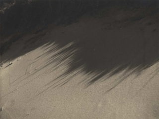 Item #CL178-45 [Sea Grass Shadows On The Sand]. Olive Cotton, Aust