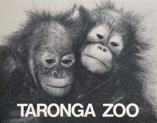Item #CL182-140 Taronga Zoo [Orangutans