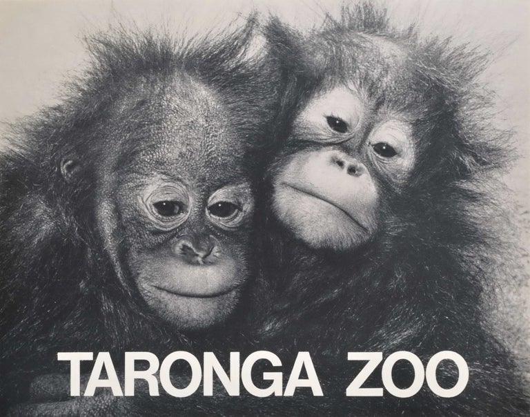 Item #CL182-140 Taronga Zoo [Orangutans]