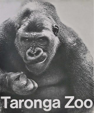 Item #CL182-141 Taronga Zoo [Gorilla