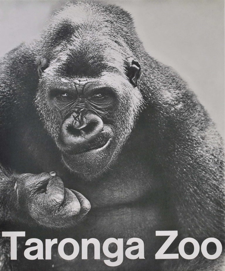 Item #CL182-141 Taronga Zoo [Gorilla]
