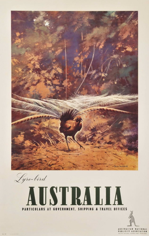 Item #CL182-42 Lyre-Bird, Australia. James Northfield, Aust.