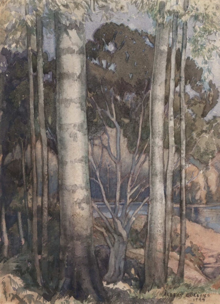 Item #CL183-26 [View Through The Trees]. Albert Collins, Aust.