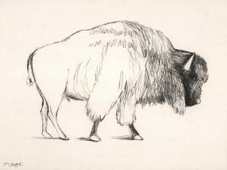 Item #CL184-125 Bison. Henry Moore, Brit