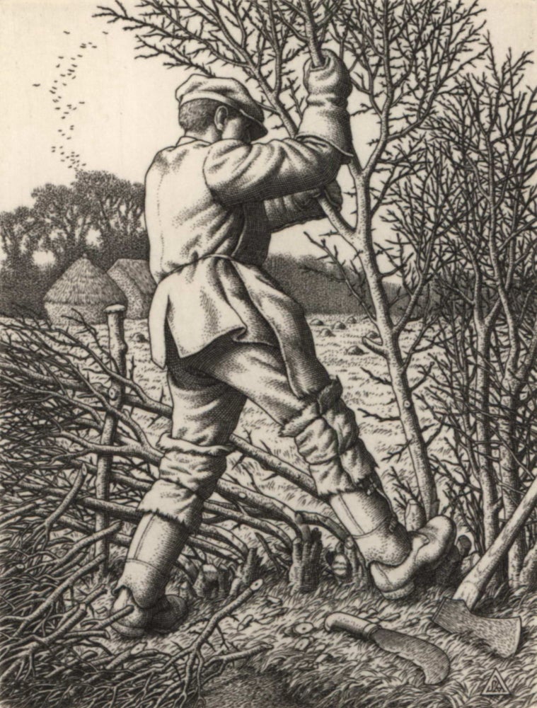 Item #CL184-43 Hedge-Laying. Stanley Anderson, British.