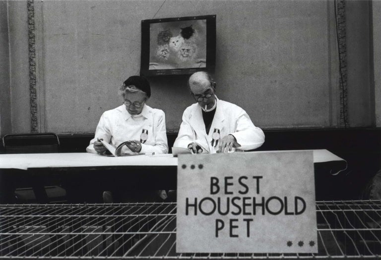 Item #CL185-156 [Best Household Pet], Cruft’s Cat Show, Olympia, London. David Potts, Aust.