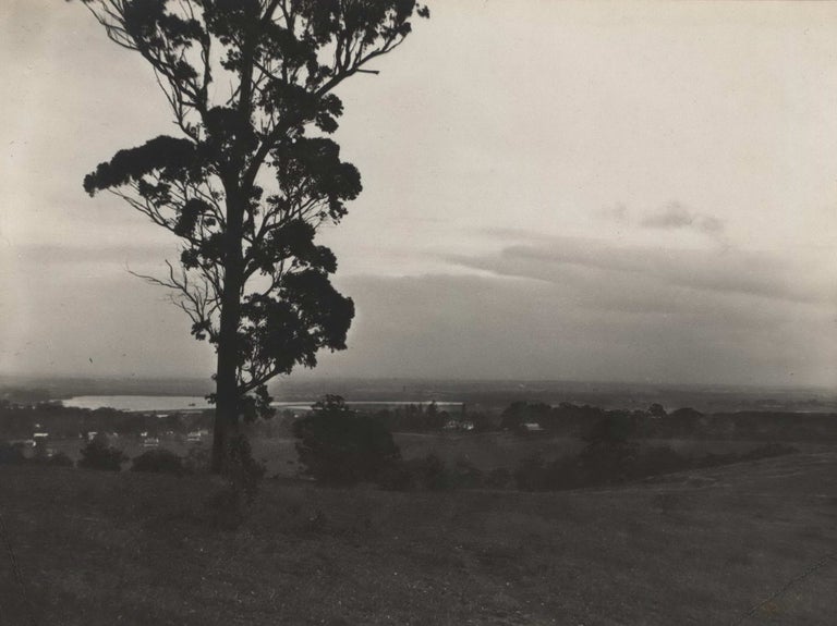 Item #CL185-48 Landscape, Ryde [NSW]. Cecil W. Bostock, Aust.