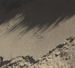Item #CL185-68 [Sand Shadows]. Olive Cotton, Aust
