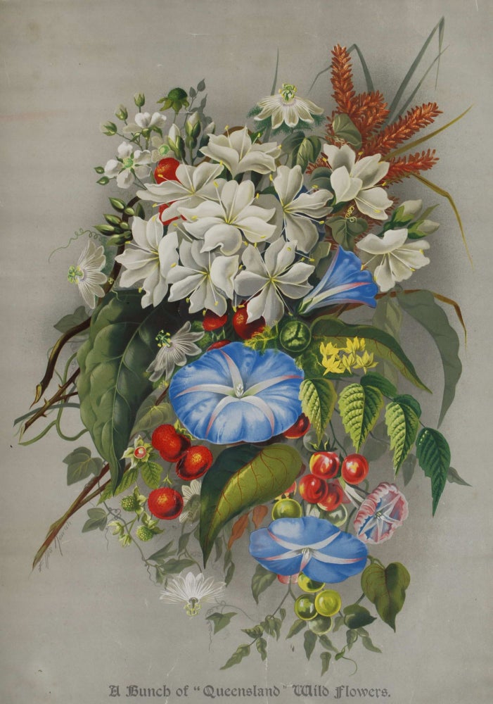 Item #CL187-58 [Australian Flora And Fauna Supplements]. Ellis Rowan, Aust.
