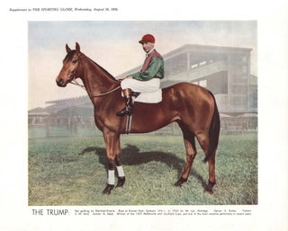 Item #CL187-87 Australian Racehorse Supplements