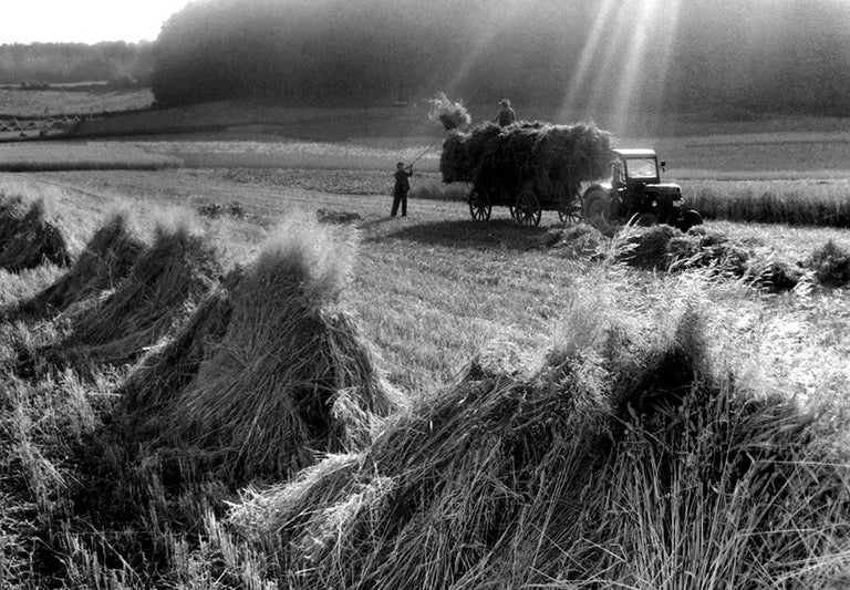 Item #CL188-10 Making Hay I. Heide Smith, b.1937 German/Australian.
