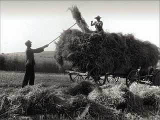 Item #CL188-11 Making Hay II. Heide Smith, b.1937 German/Australian