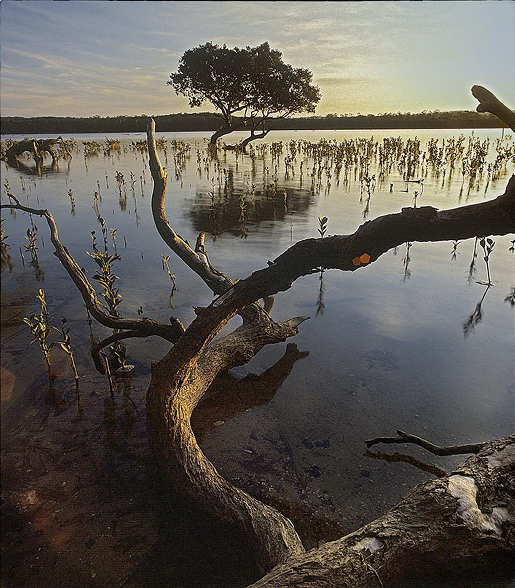 Folio Of Landscapes | Heide Smith, B.1937 German/Australian