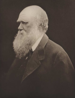 Item #CL191-14 Charles Darwin. After Julia Margaret Cameron, Brit