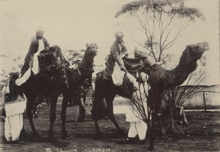 Item #CL191-36 [“Afghan” Camel Caravanners, Coolgardie, Western Australia