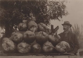 Item #CL191-38 Ready For The Show [Man With Large Beets