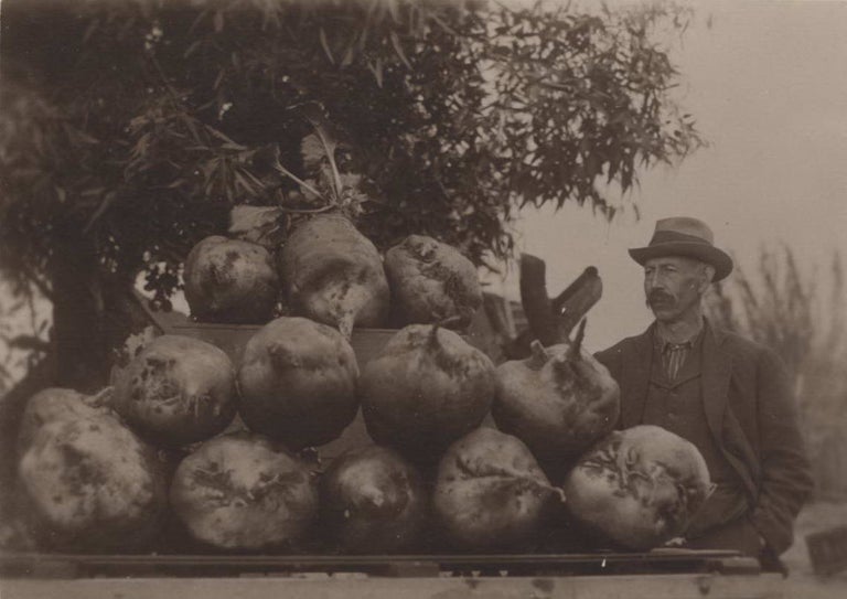 Item #CL191-38 Ready For The Show [Man With Large Beets]