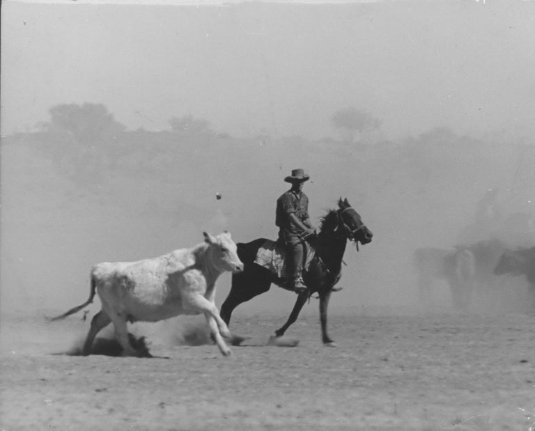 Item #CL191-54 [Cattle And Sheep Droving, Australia]. Jeff Carter, Aust.