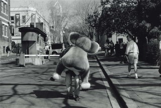 Item #CL191-63 Koala, Circular Quay. Our City, Our Games, Sydney [Olympics]. Liz Cotter,...