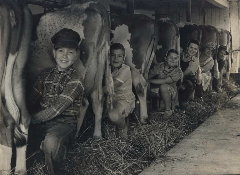 Item #CL191-90 Row of Cows’ Rumps, With Fat-Cheeked Family Of Six Milking Them, In Neat Cow Barn [Wisconsin]. Alfred Eisenstaedt, German/Amer.