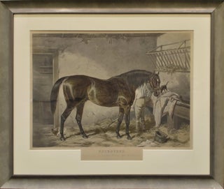 Melbourne [Race Horse]