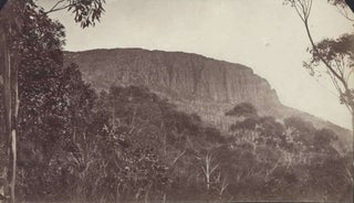 Tasmanian Views